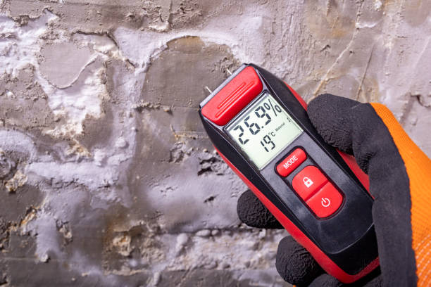 Best Mold Testing  in Lake Jackson, TX